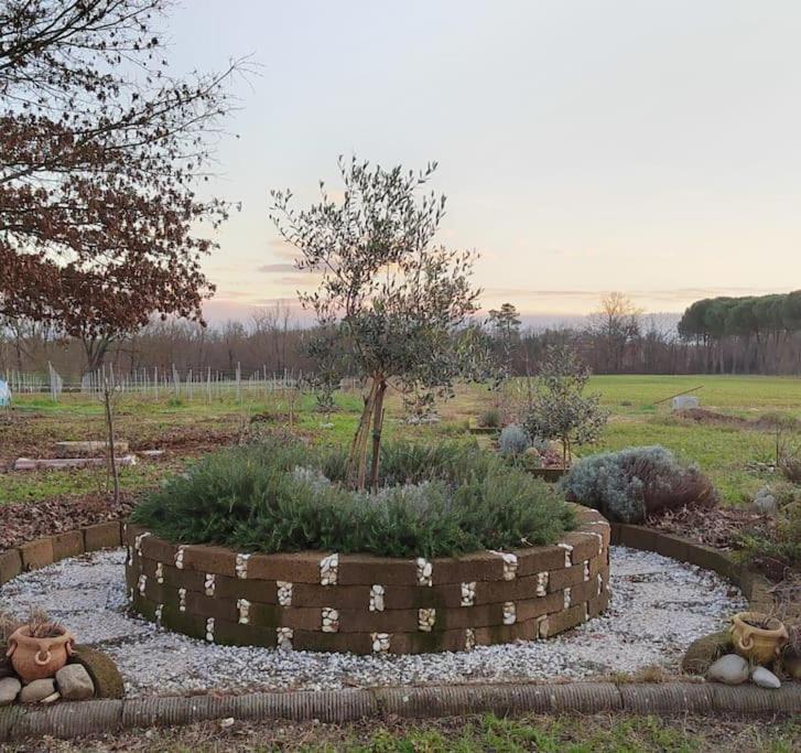 Villa Donnola: Casa Rosmarino 富切基奥 外观 照片