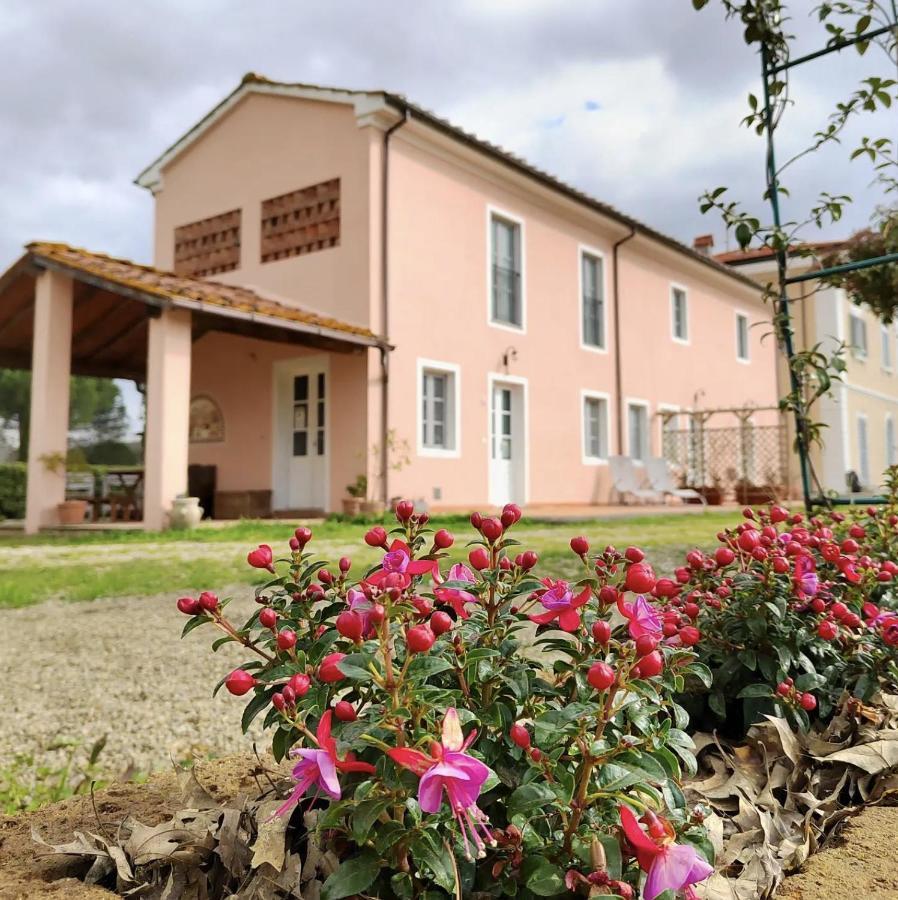 Villa Donnola: Casa Rosmarino 富切基奥 外观 照片