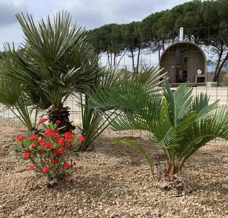 Villa Donnola: Casa Rosmarino 富切基奥 外观 照片